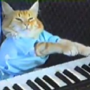 catjam